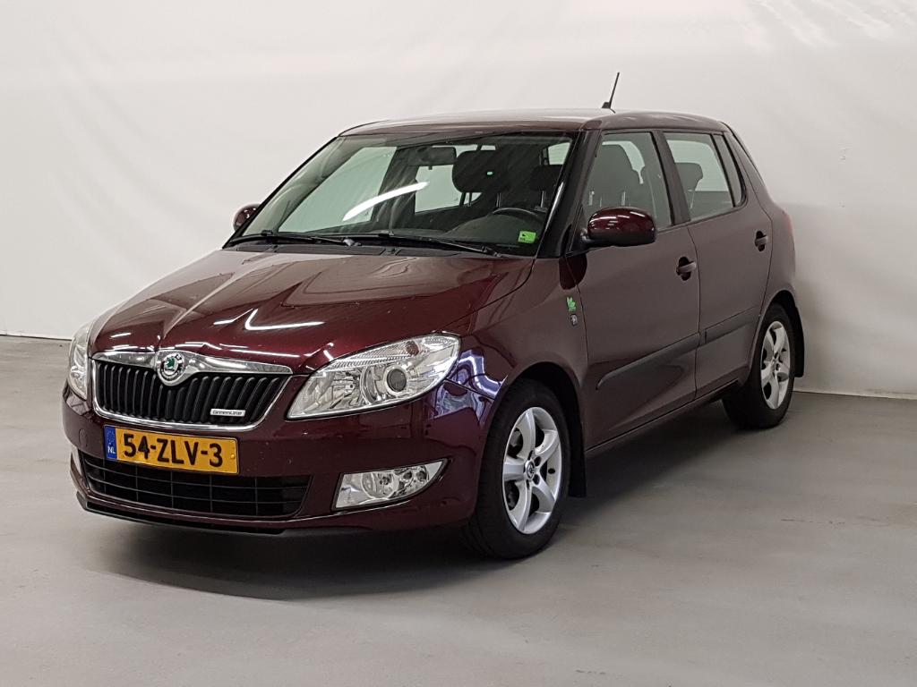 Skoda FABIA 1.2 TDI Green. BnsL.